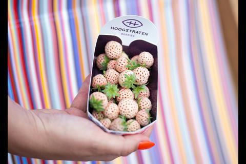 Fresh for Belgium displayed Hoogstraten's pineberries alongside a wide range of other produce